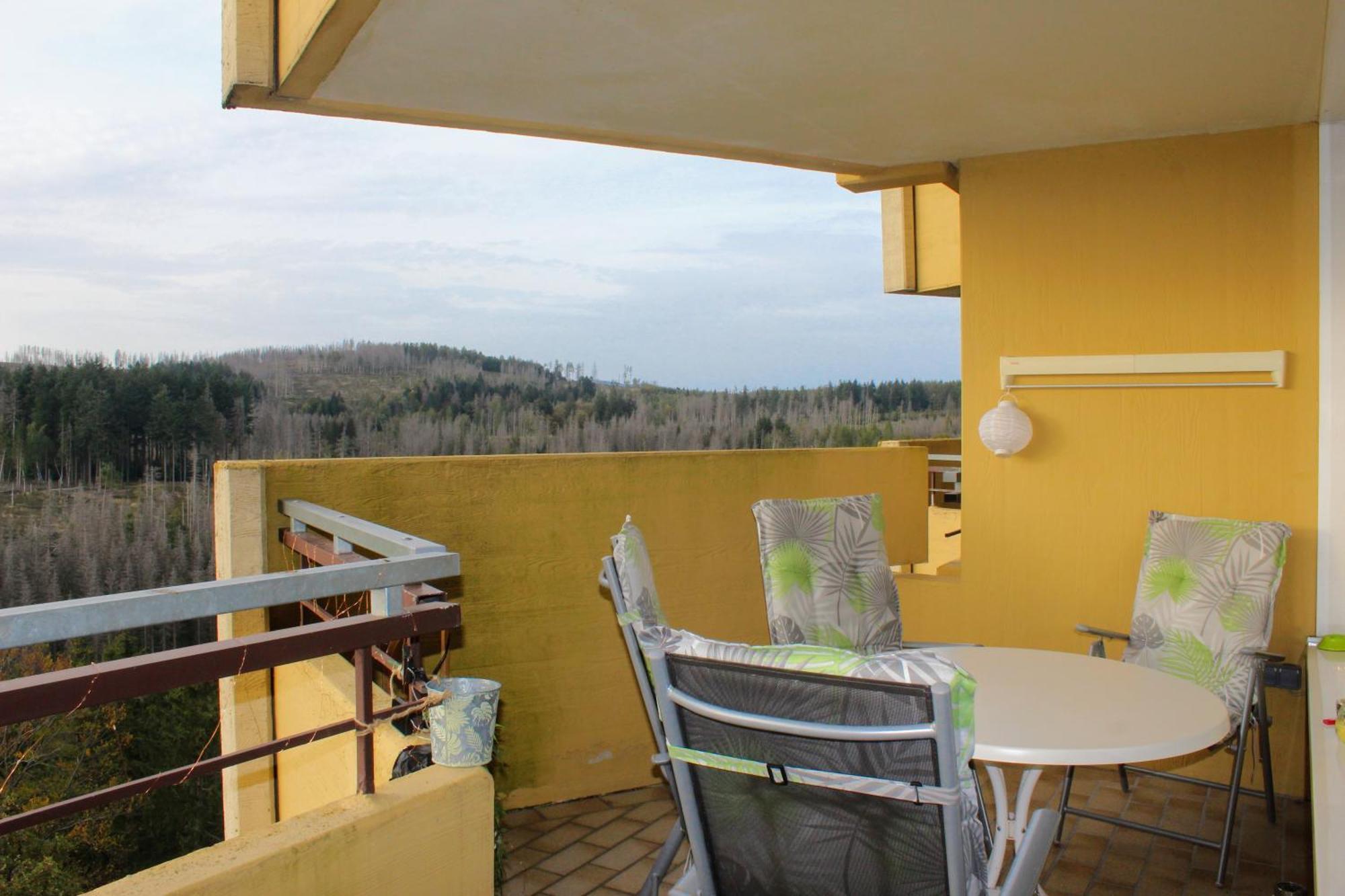 Apartment Ky481 Im Panoramic Hohegeiß 외부 사진